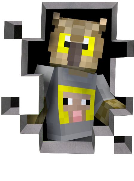 RotatedOwlFace