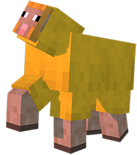 Lemon Sheep